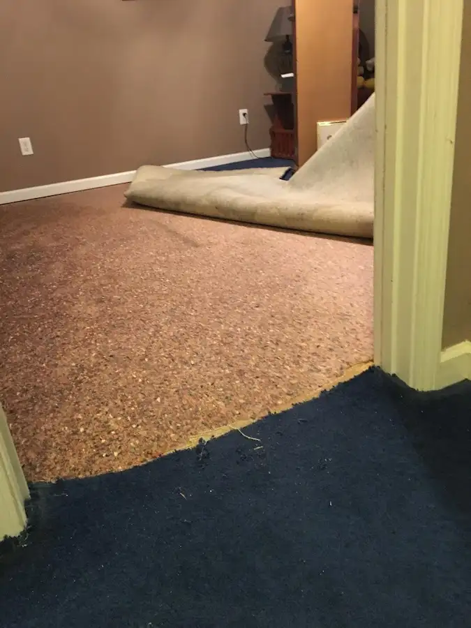Carpet pad removal revealing water damage during Drying & Dehumidification in Rayne