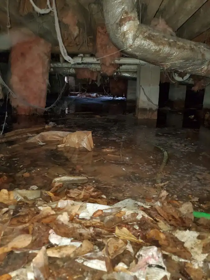 Crawl space flood assessment for Commercial Water Damage Restoration in Rayne